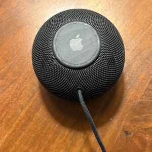 Apple Black HomePod Mini